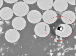 Picture Hollow Fiber.png